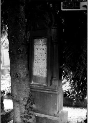Grabstein 158