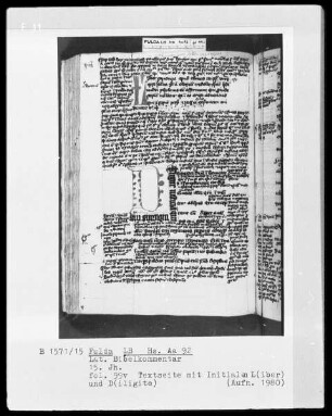 Lateinischer Bibelkommentar — Initialen L(iber) und D(iligite), Folio 99verso