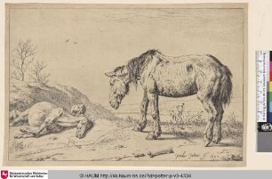 [Sterbendes und totes Pferd; The Worn-Out Horse (La Mazette)]
