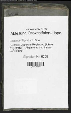 Hebammen im Amt Detmold, Bd. 3
