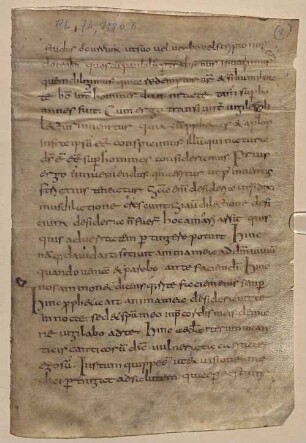 Homiliarum in evangelia libri II. Homilia XXV - BSB Clm 29400(1
