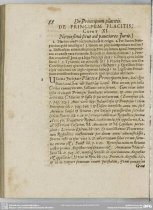 De Principum placitis. Caput XI. Novissimè sicut ad pauciores Juris