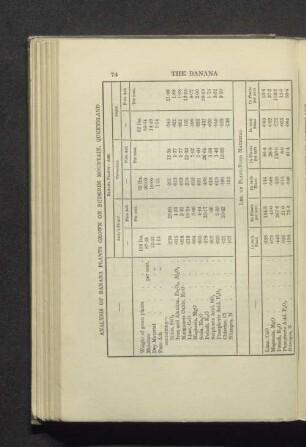 Analysis of banana plants grown on Buderim Mountain, Queensland