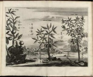 Illustration "Su-Pim; Po-Lo-Mie; Ciev Ko"