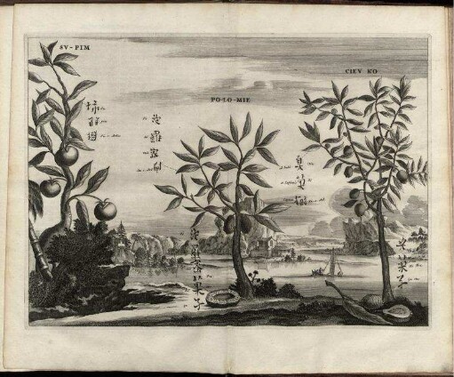 Illustration "Su-Pim; Po-Lo-Mie; Ciev Ko"