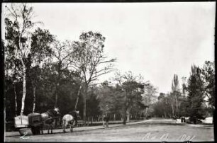 Paris. Bois de Boulogne
