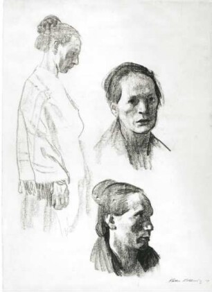 Porträtstudie : Porträtstudie.Kohlezeichnung; 755 x 538 mm (1908/1910; K. Kollwitz). Dresden: Kupferstich-Kabinett C 1981-22 (Vorderseite)