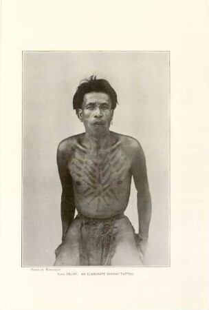 Plate CXLVIII. An elaborate Banawi tattoo