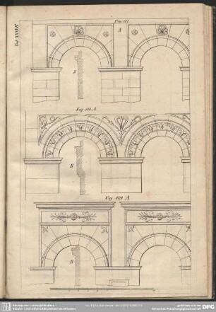 Tab. XXXVII