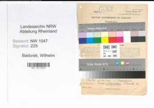 Entnazifizierung Wilhelm Badorek , geb. 18.03.1896 (Betonbauer)
