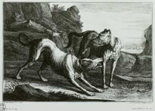 Jagdhunde