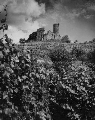 Archivfotografie "bergstrasse_schriesheim_10534ae"