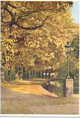 Wallgraben und Wall mit Kastanien. Detmold
