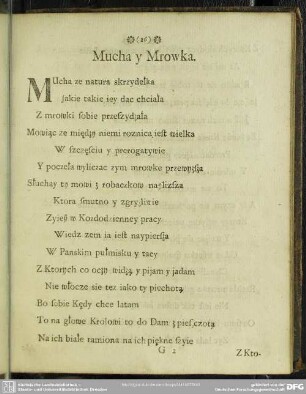 Mucha y Mrowka