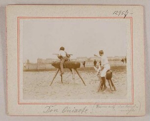 Don Quixote