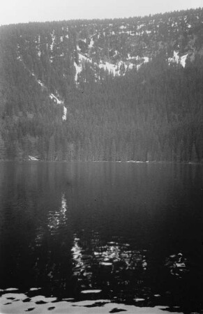 Schwarze See : Blick auf den Schwarzen See (Cerne jezero) im Böhmerwald. Der See wird von der 320 m hohen Felswand Jezerni stena (Seewand) aus Glimmerschiefer eingerahmt.