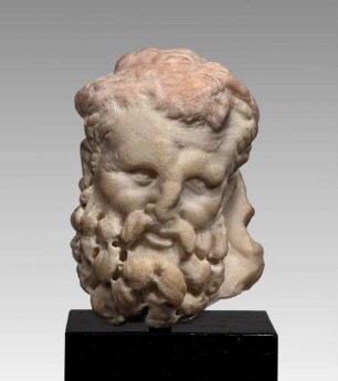 Köpfchen des Herakles