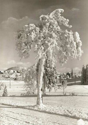 Osterzgebirge. Blick nach Altenberg und Geisingberg von der Rehefelder Straße