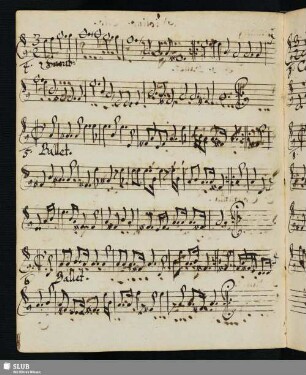 5. Anonymus: Dances