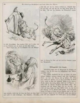 "Merkwürdige Geschichten aus dem Leben der Thiere"