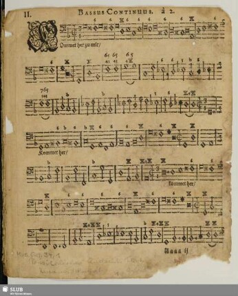 General-Bass [incpl.]