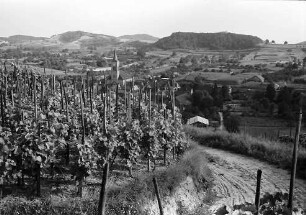 Oberrotweil: Blick von den Weinbergen auf Oberrotweil