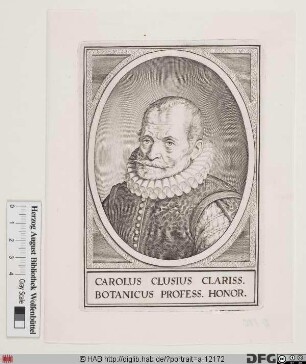 Bildnis Charles de Lécluse (L'Écluse), (lat. Carolus Clusius)