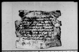 al- Qurʾān [DAM 9-9.2]