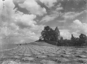 Panitzsch, Kirche : Panitzsch. Blick über Getreidefeld zu Kirche