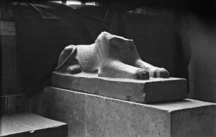 Sphinx mit Kartusche des Pharaos Merenptah