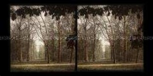 Blick in den Großen Garten, Dresden