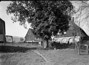 Lausitz. Gehöft. Gartenansicht