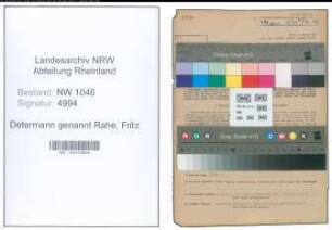 Entnazifizierung Fritz Determann genannt Rahe , geb. 23.03.1894 (Landwirt)