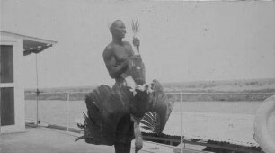 Riesenreiher [Reise nach dem Sudan, Band 2]