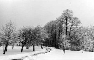 Wilsdruff-Limbach. Weg von der Straße Birkenhain-Lotzen zur Limbacher Mühle