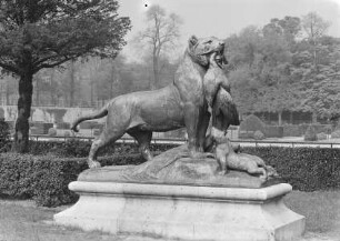 Löwe und Pfau