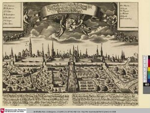 Ansicht von Braunschweig