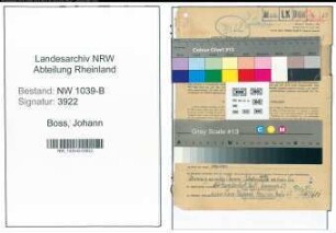 Entnazifizierung Johann Boss , geb. 02.05.1880 (Justizbeamter)