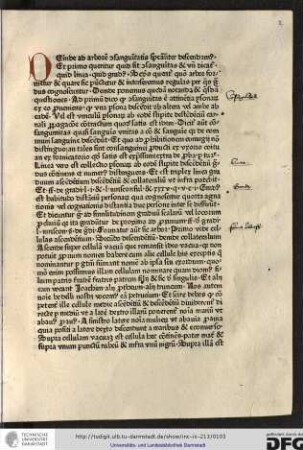 Deinde ad arborem affinitatis consanguitatis specialiter descendamus, et primo queritur quid sit consanguitas...