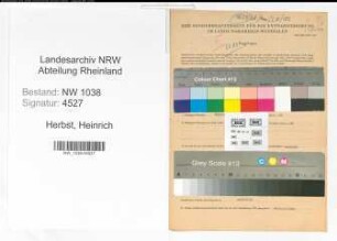 Entnazifizierung Heinrich Herbst , geb. 29.01.1893 (Beamter)