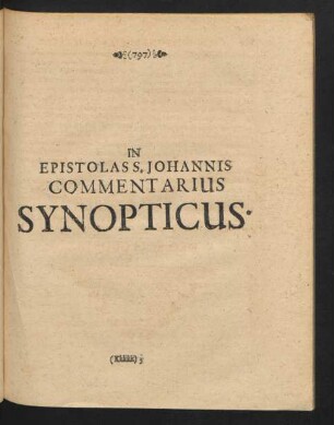 In Epistolas S. Johannis Commentarius Synopticus.