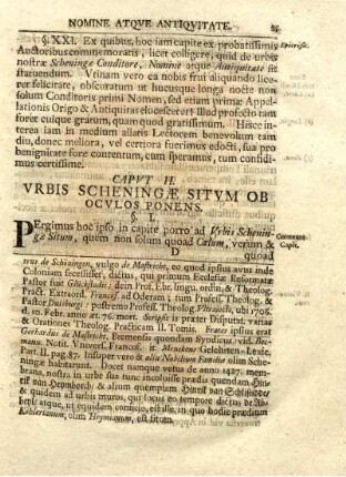 Caput II. Urbis Schneningae situm ob oculos ponens.