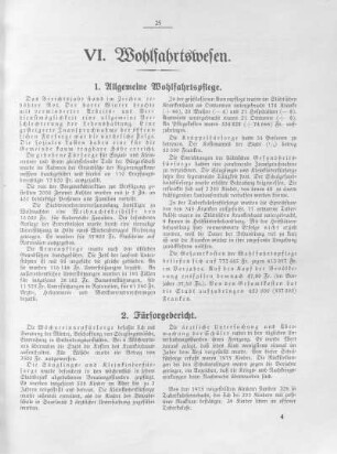 VI. Wohlfahrtswesen