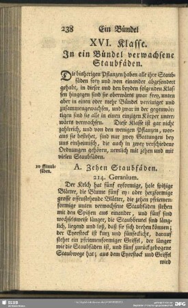 XVI. Klasse. In ein Bündel verwachsene Staubfäden