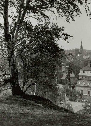Blick vom Besucherbergwerk Schacht "Alte Elisabeth" nach Südwesten gegen Petrikirche