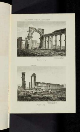 Abbildungen Palmyra