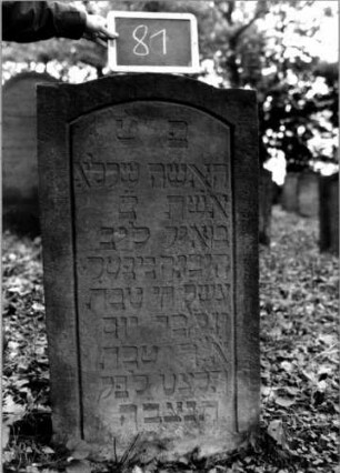 Grabstein 81 [Nir S. 83 Nr. 8.17]