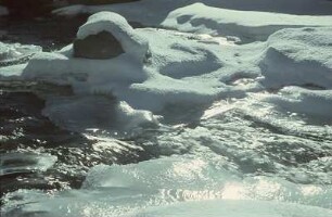 Bach im Winter