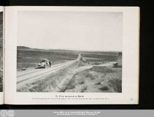 71. Piste nordwestlich Djelfa.