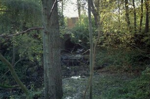 Kupfermühle: Abfluss des Mühlenbaches